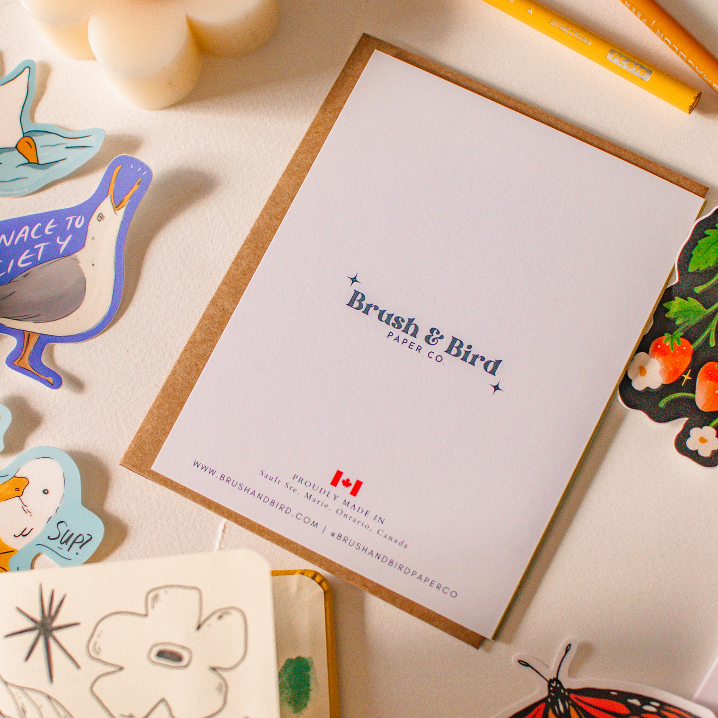 Brush & Bird Paper Co. - Another Year Around the Sun | Vibrant Birthday Card