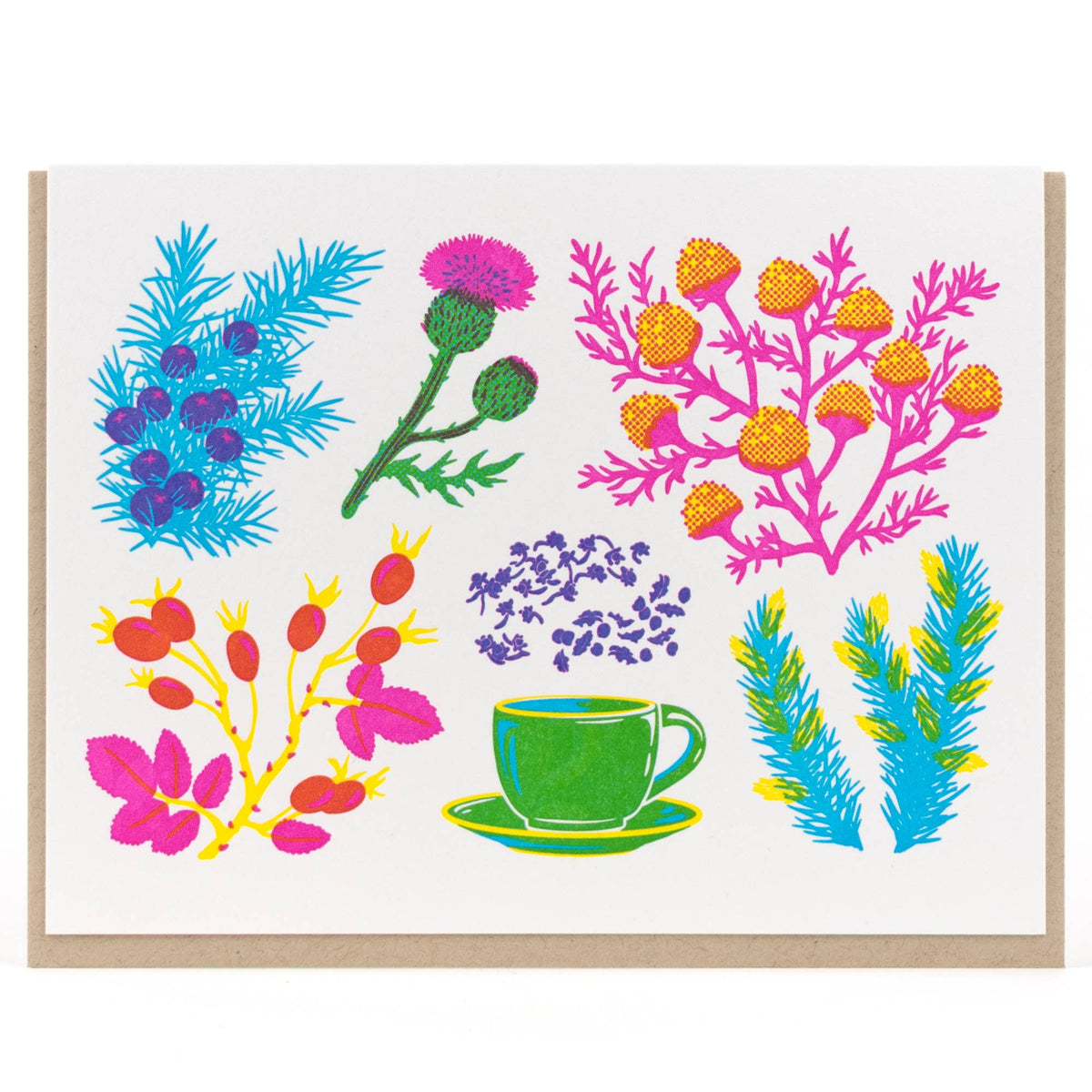 Porchlight Press Letterpress - Vibrant Life Series - Herbal Tea Card