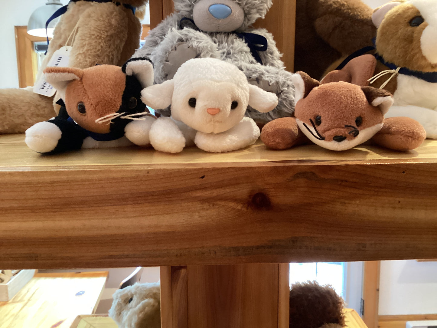 Agricola Adoptables - Agricola Street Books