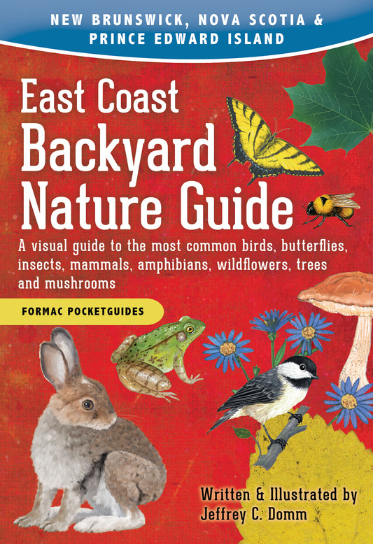 East Coast Backyard Nature Guide - Agricola Street Books