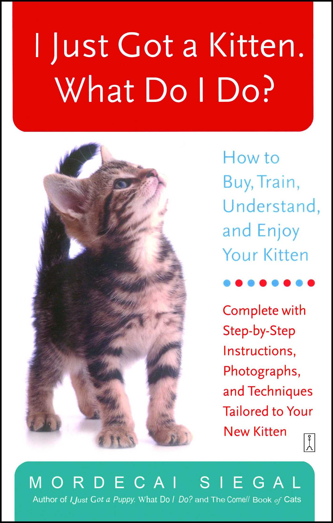 I Just Got a Kitten. What Do I Do? - Agricola Street Books