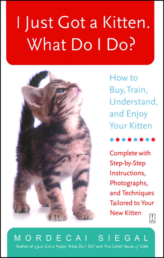I Just Got a Kitten. What Do I Do? - Agricola Street Books