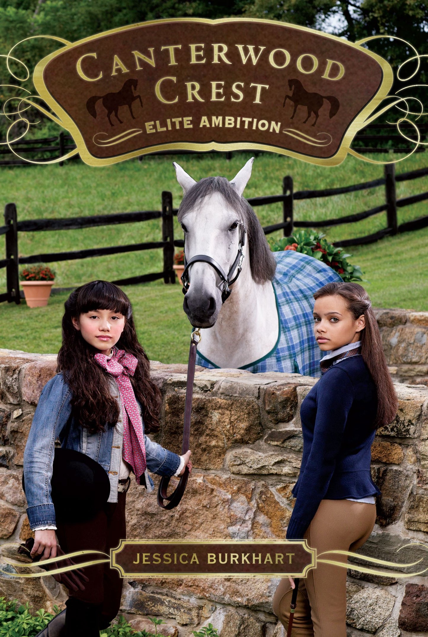 Elite Ambition - Agricola Street Books