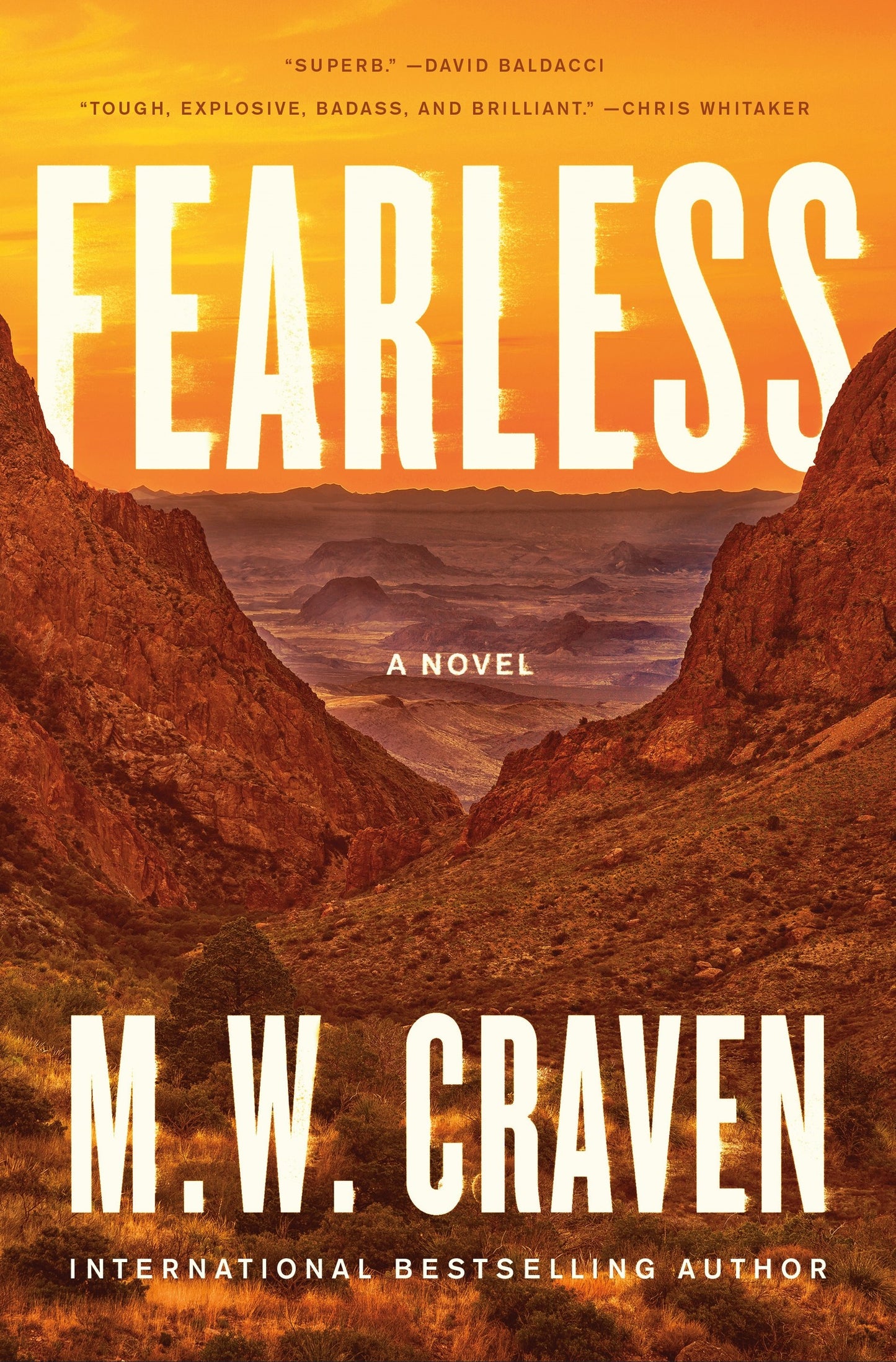 Fearless (Ben Koenig #1) - Agricola Street Books