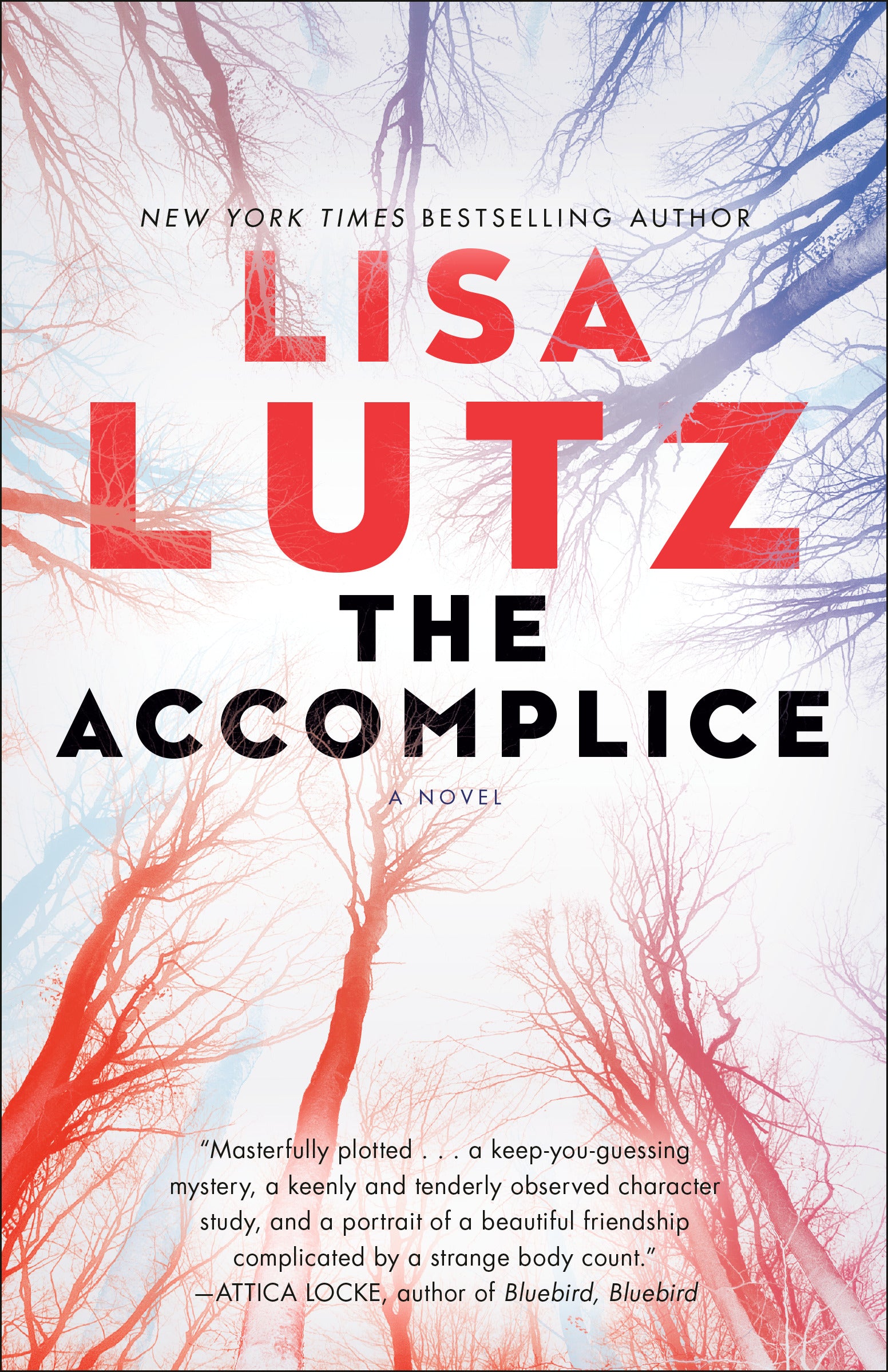 The Accomplice - Agricola Street Books