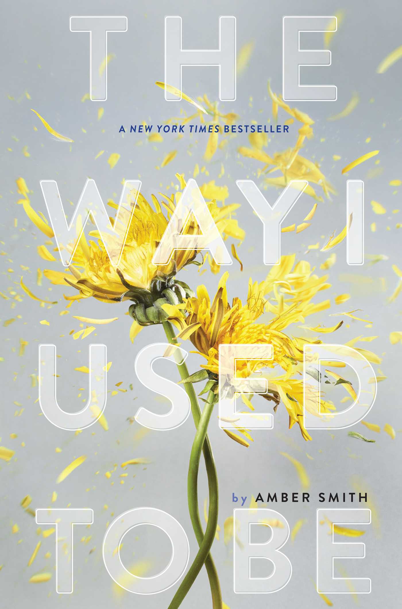The Way I Used to Be - Agricola Street Books