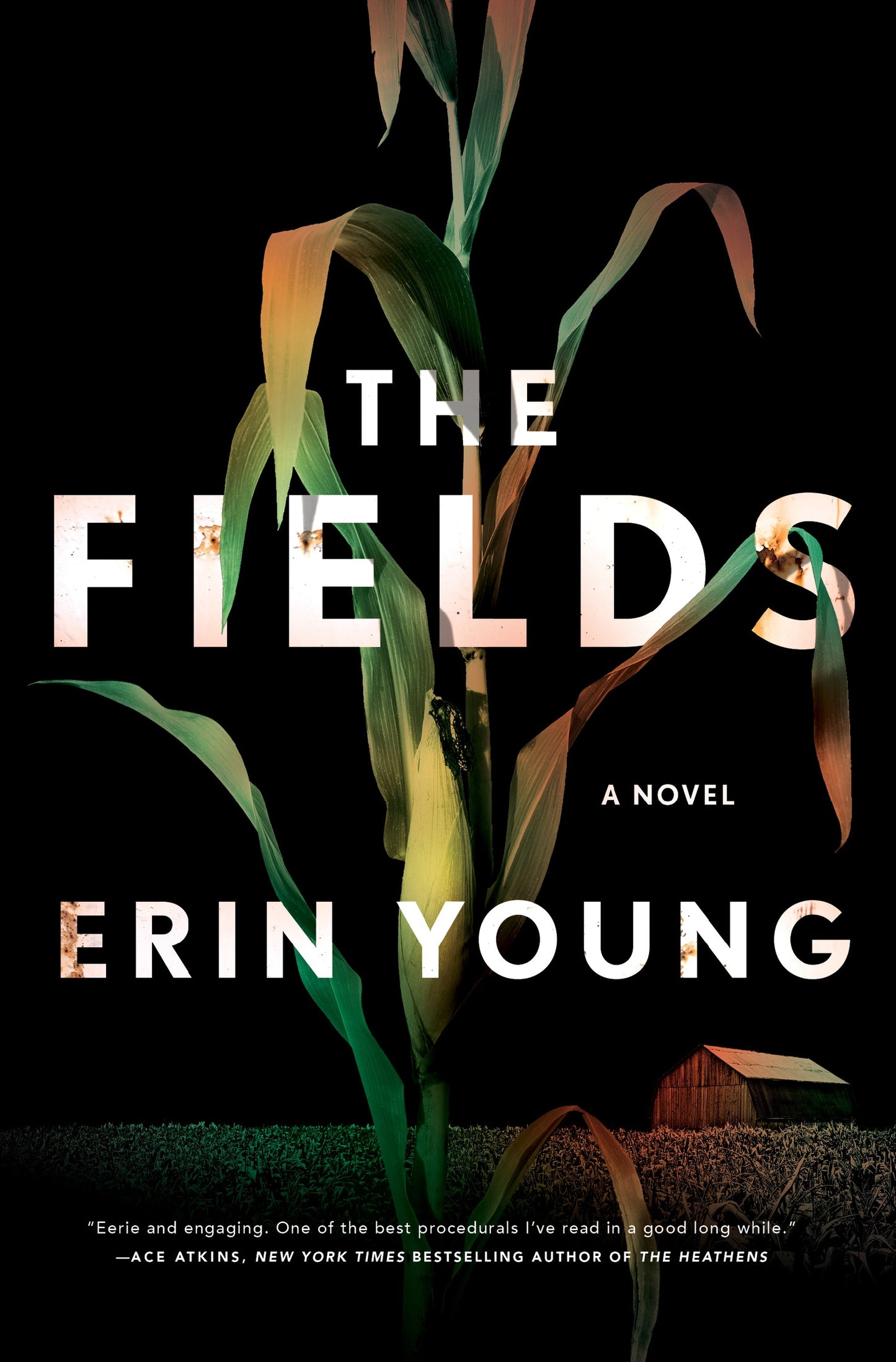The Fields - Agricola Street Books