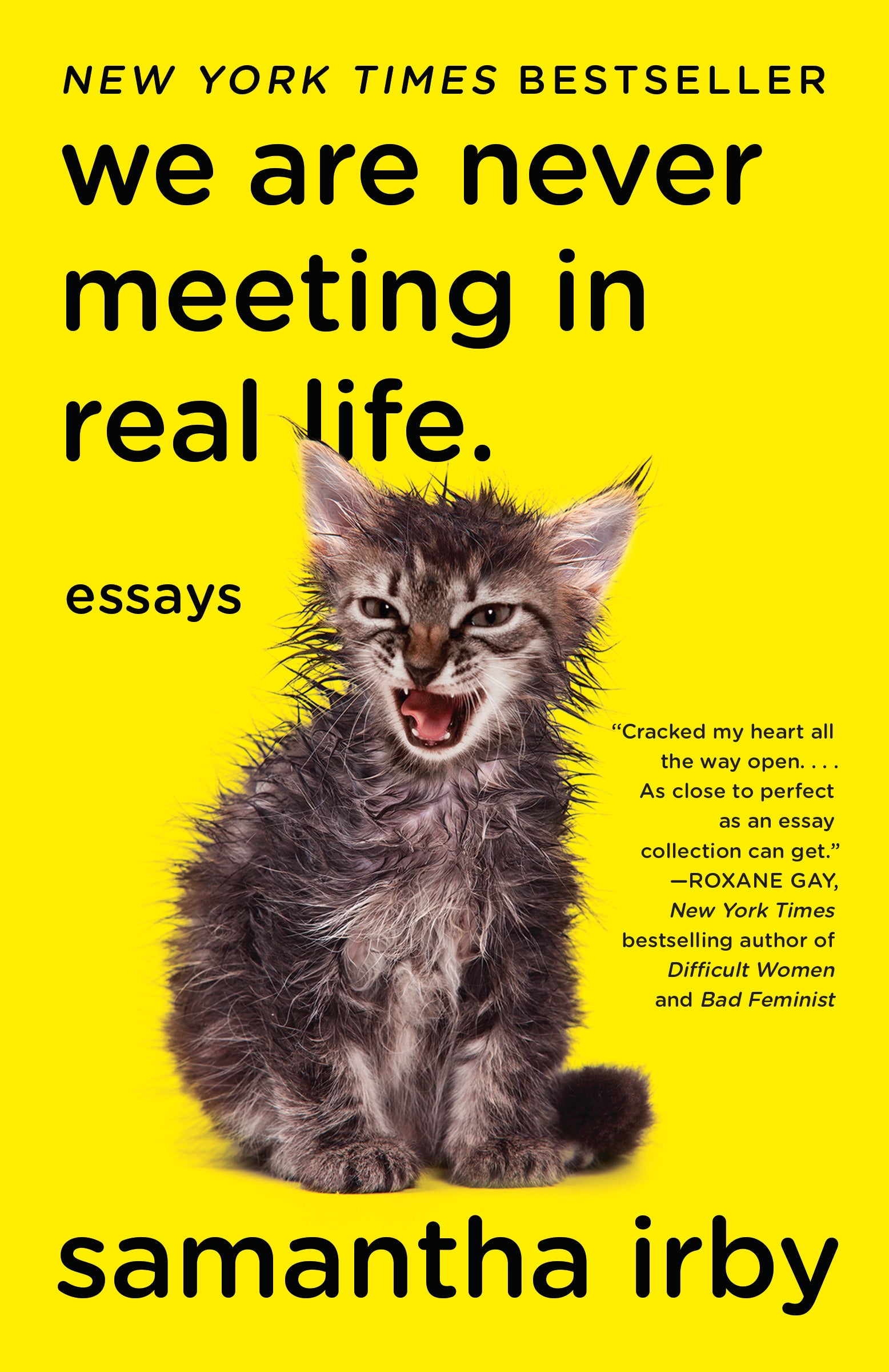 We Are Never Meeting in Real Life. - Agricola Street Books