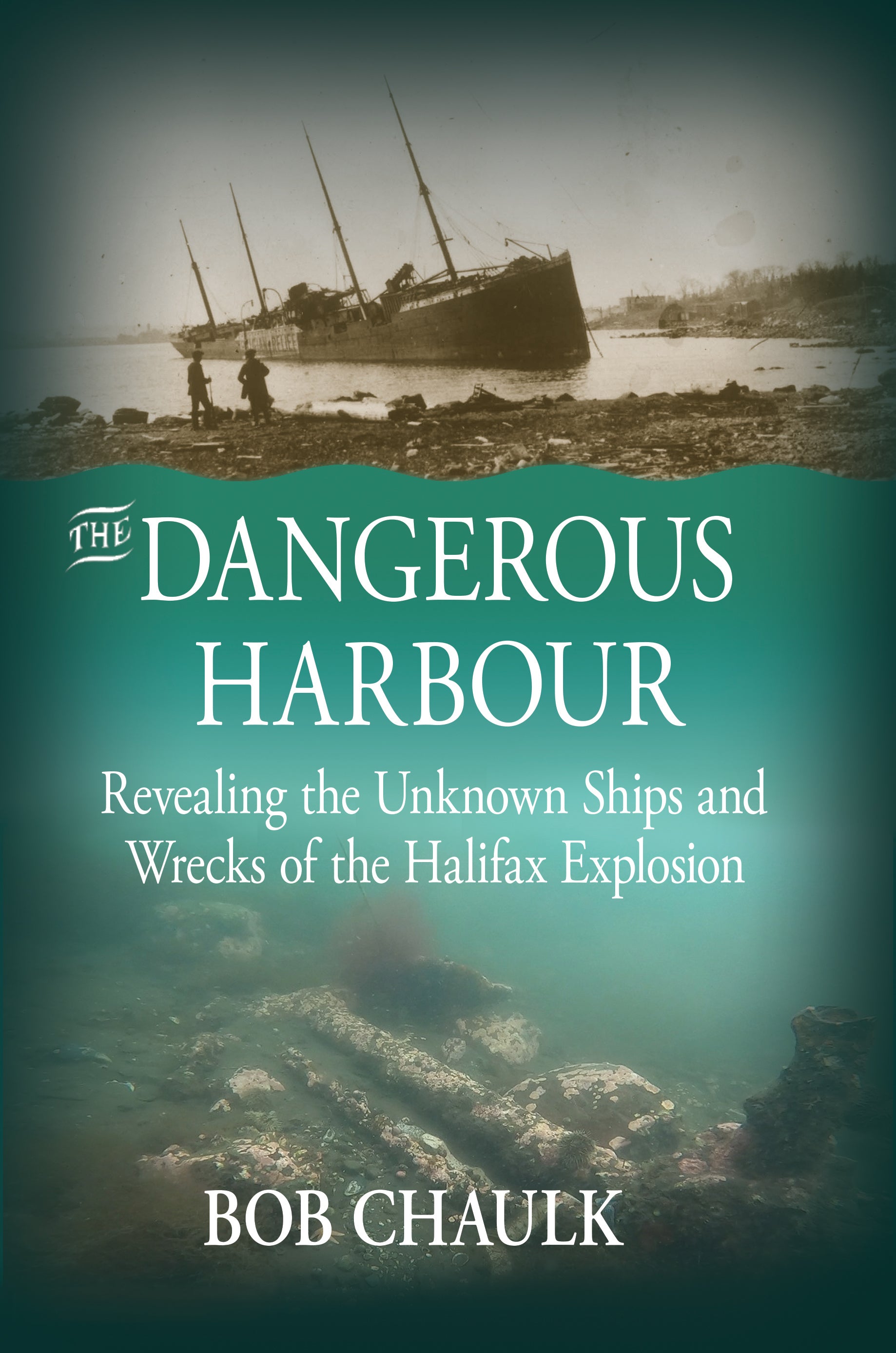 The Dangerous Harbour - Agricola Street Books