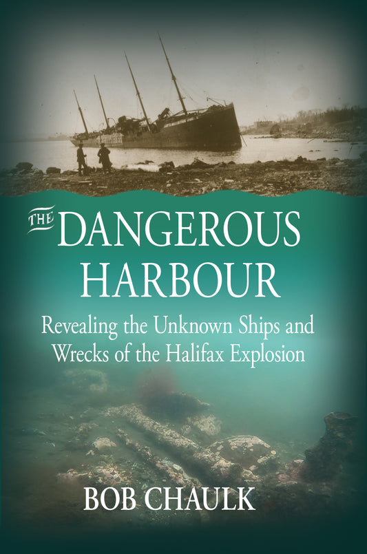The Dangerous Harbour - Agricola Street Books
