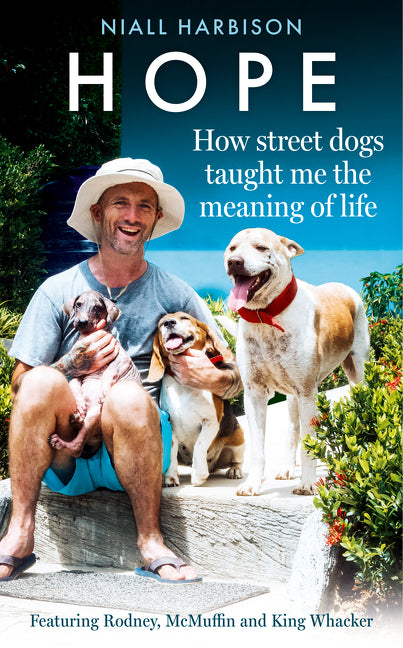 Hope: How Street Dogs Taught Me the Meaning of Life