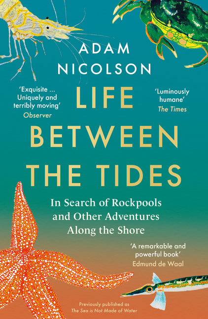 Life Between the Tides: In Search of Rockpools and Other Adventures Along the Shore - Agricola Street Books