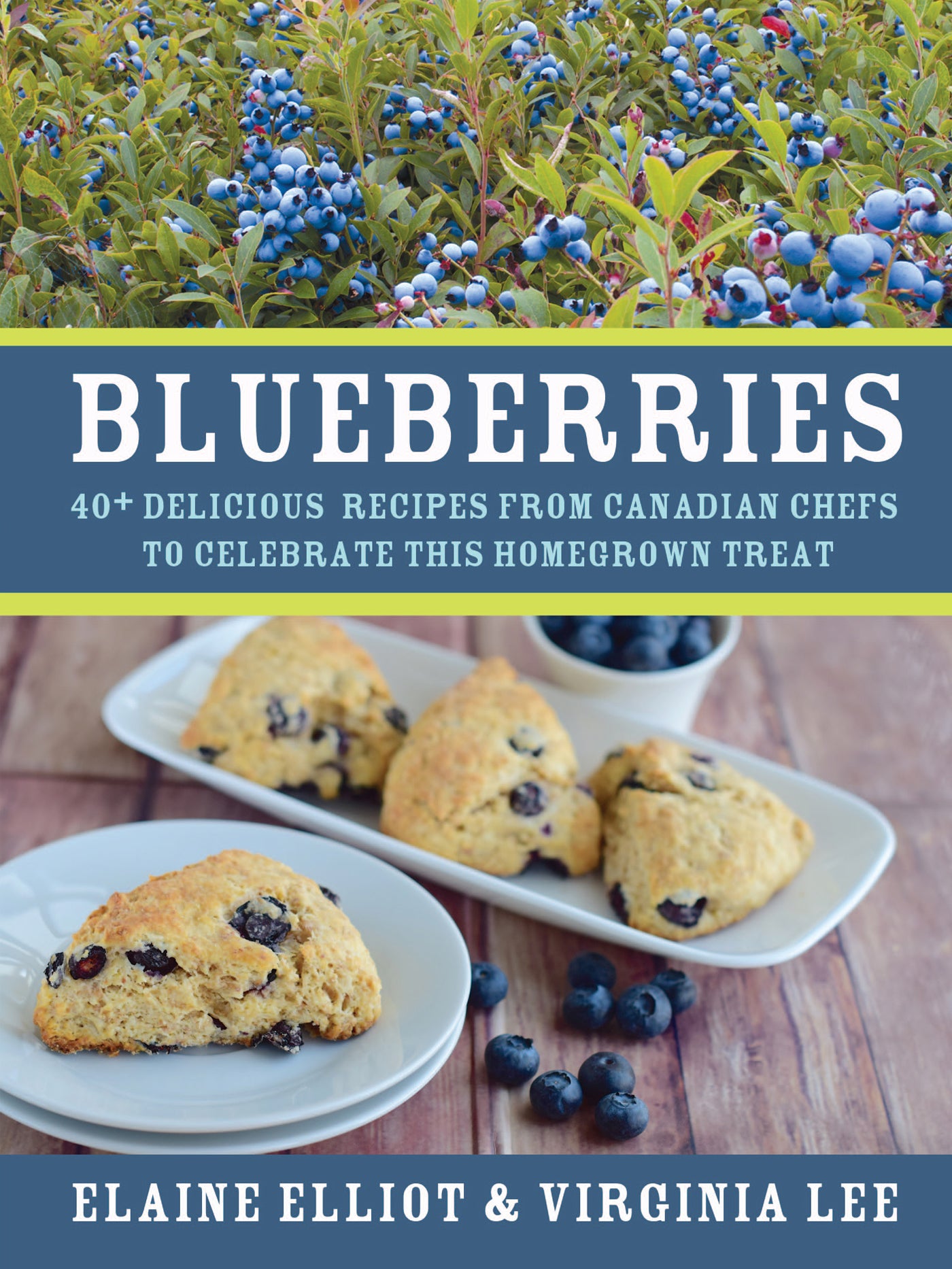 Blueberries - Agricola Street Books