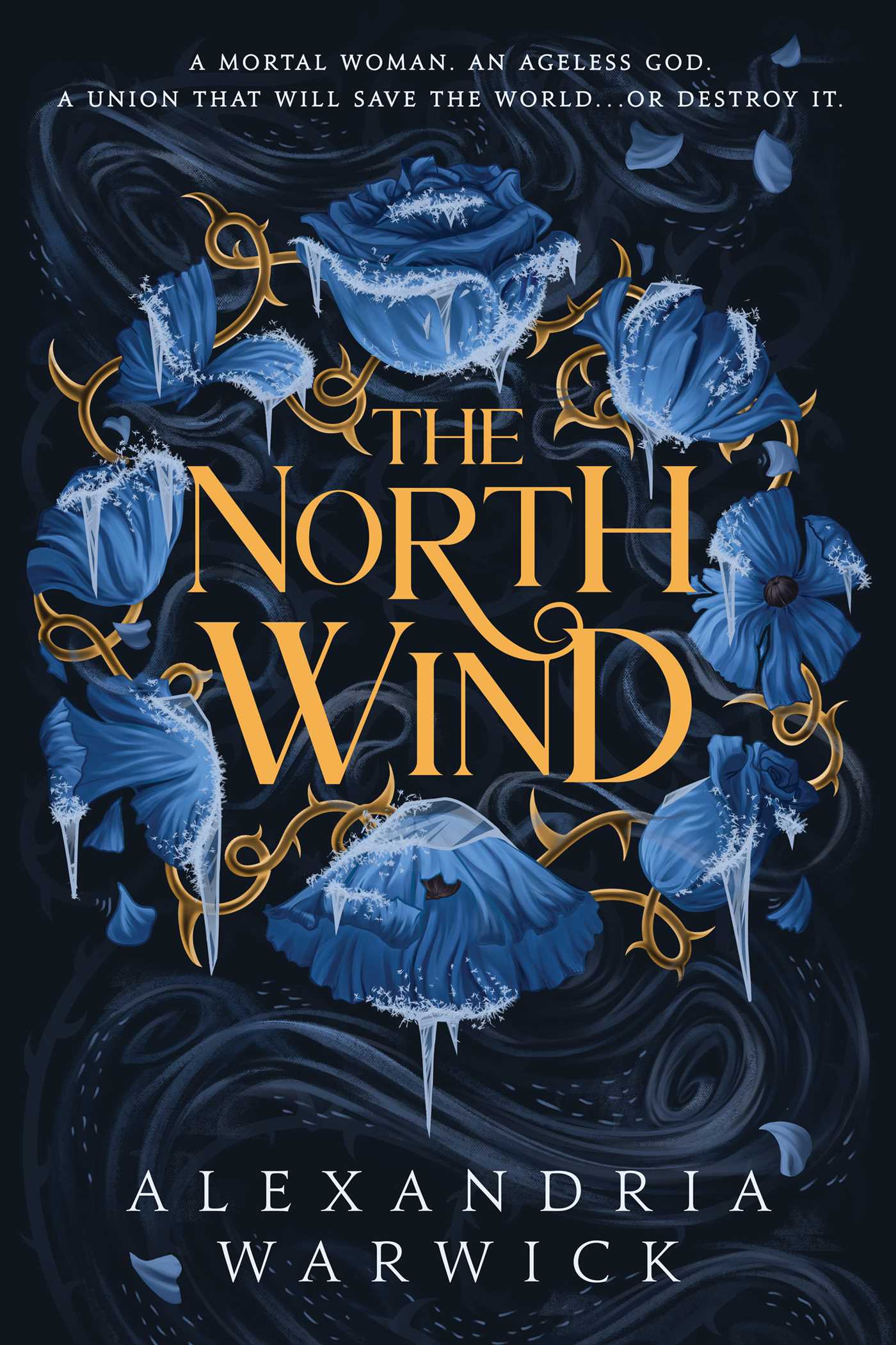 The North Wind - Agricola Street Books