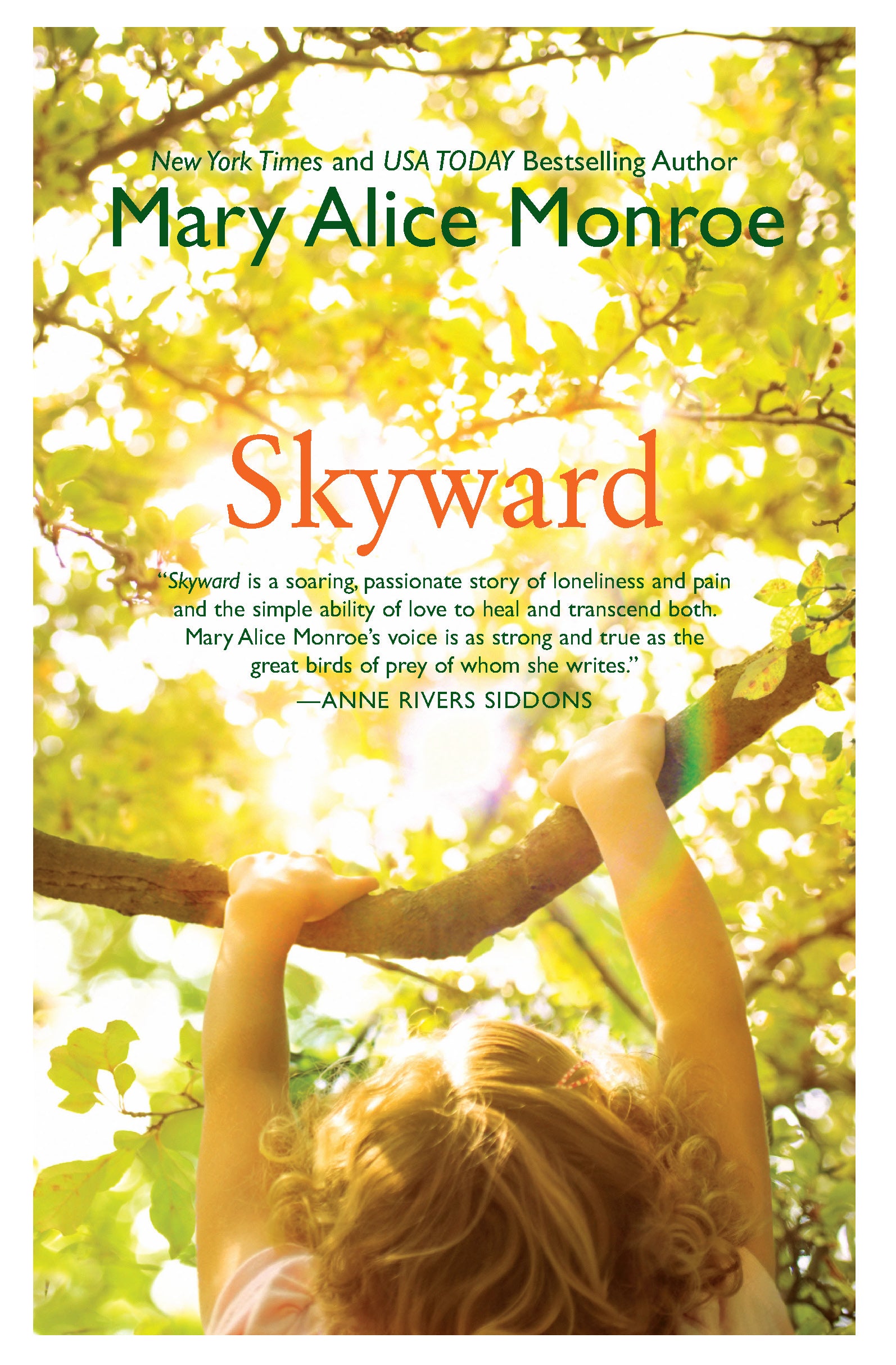 Skyward - Agricola Street Books