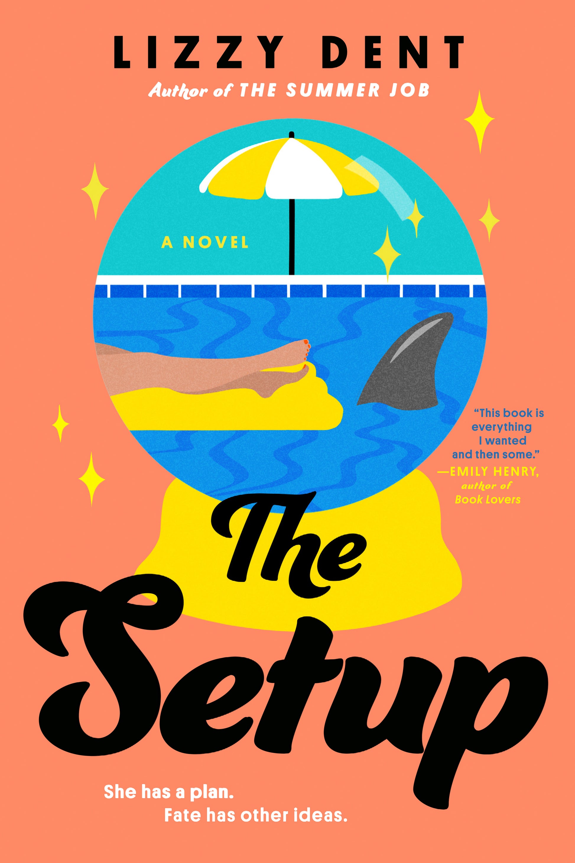 The Setup - Agricola Street Books