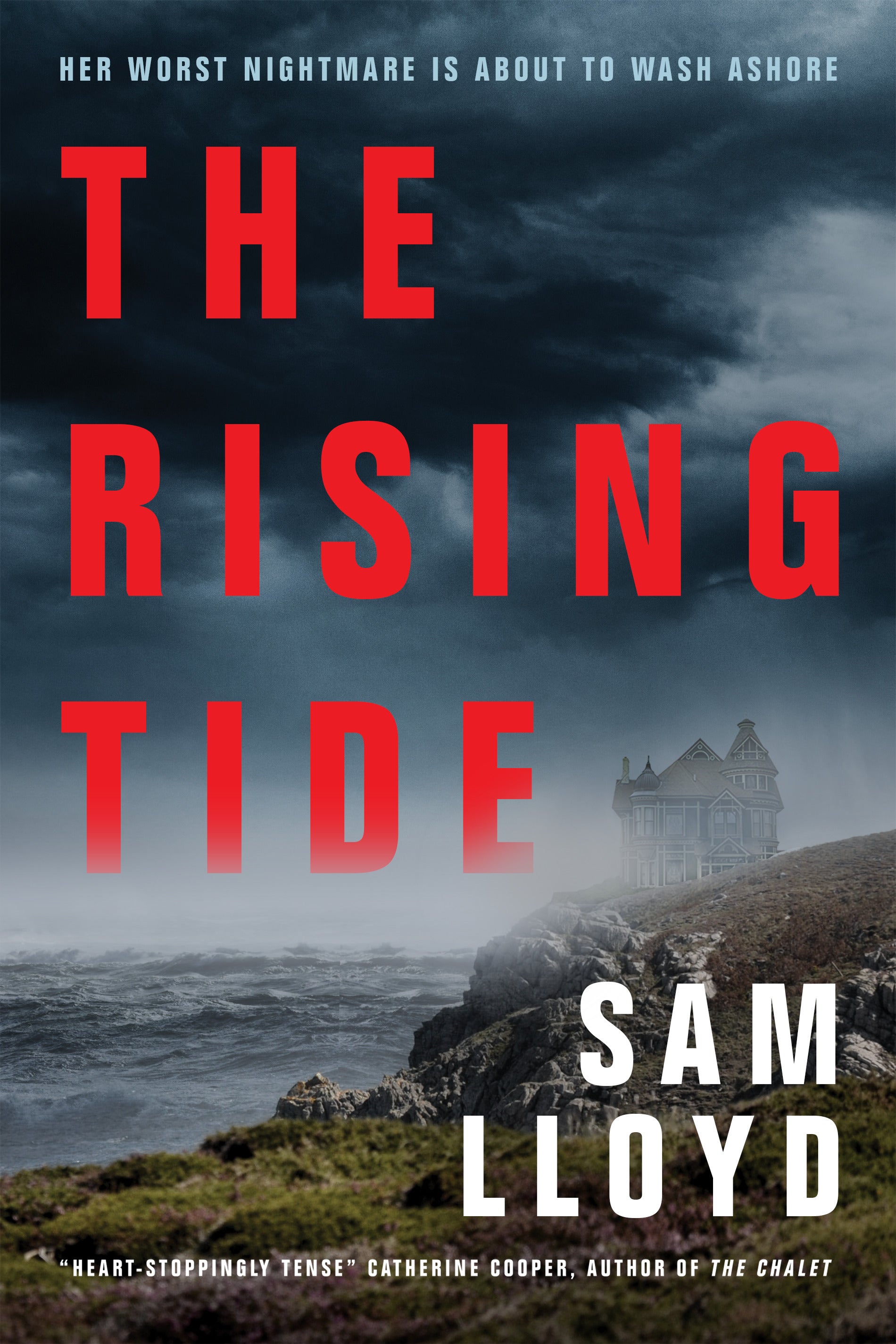 The Rising Tide DNS - Agricola Street Books