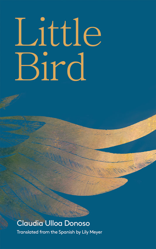 Little Bird - Agricola Street Books