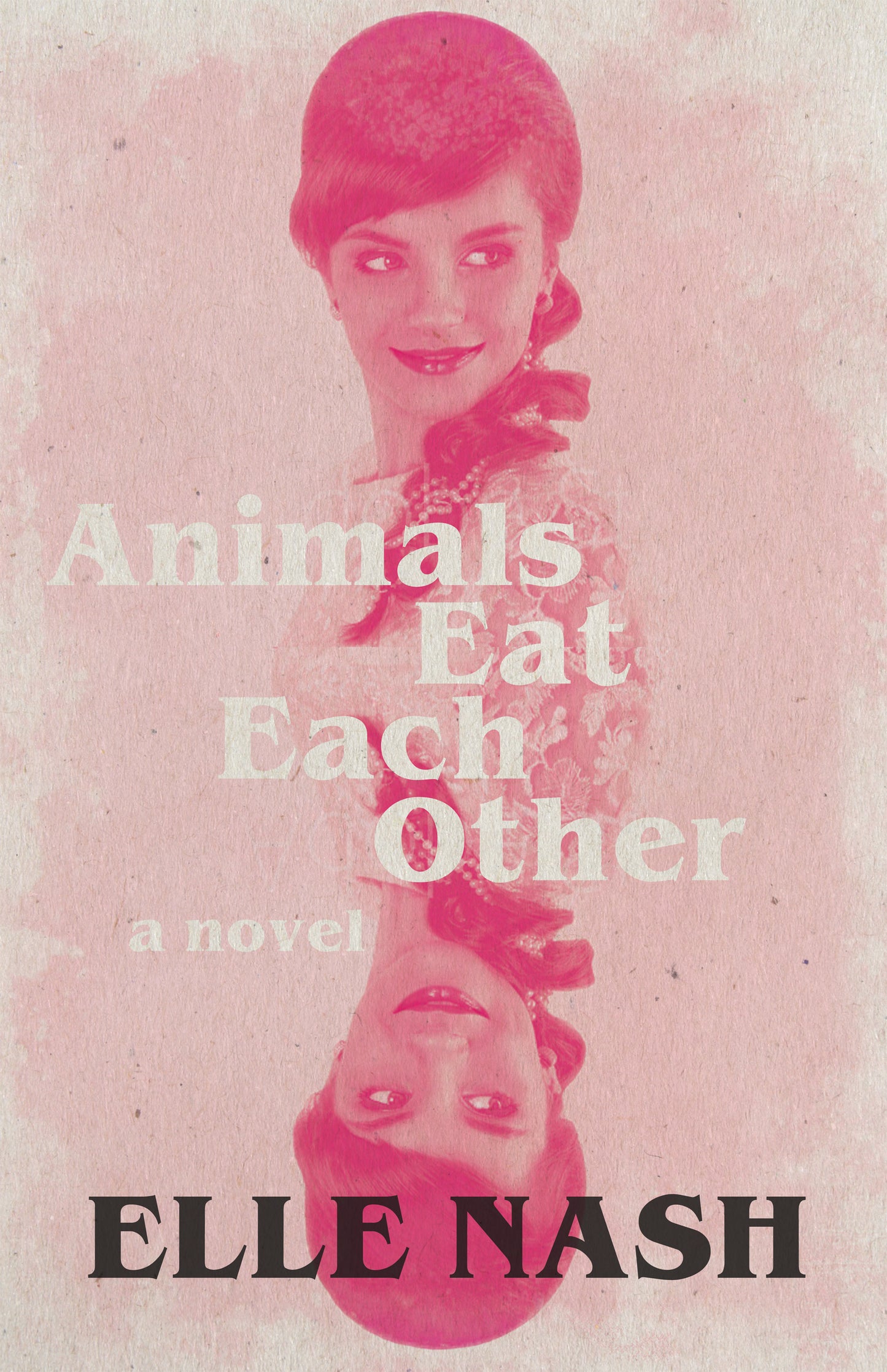 Animals Eat Each Other - Agricola Street Books