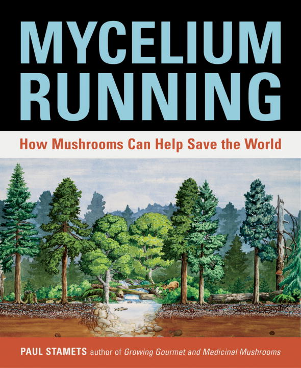 Mycelium Running