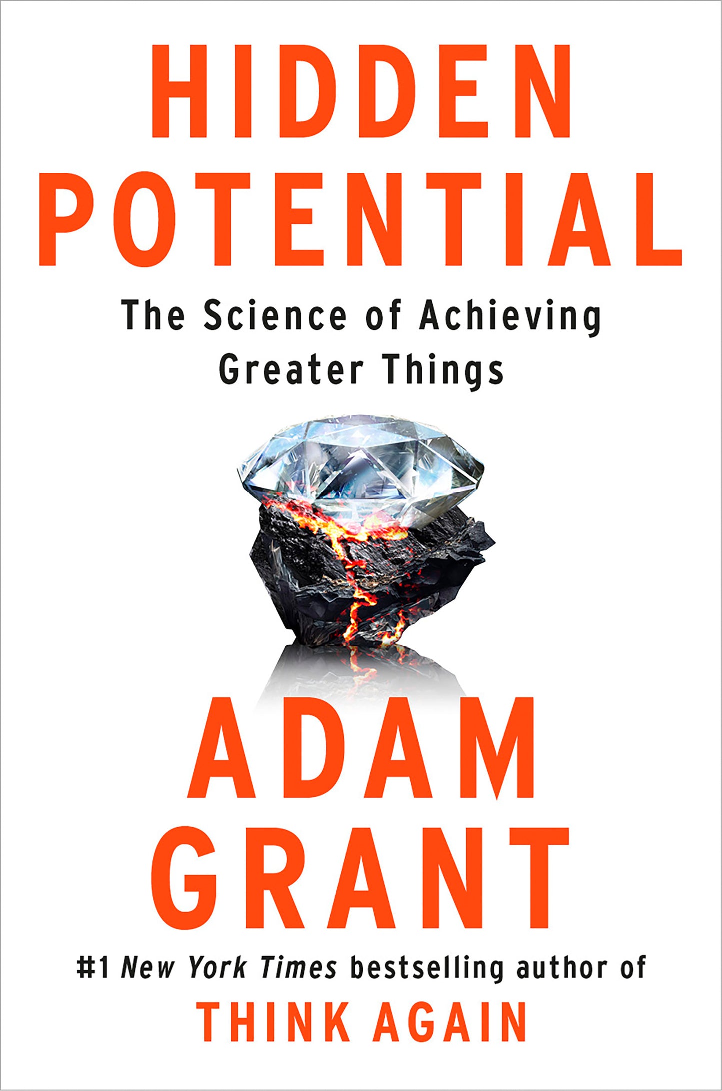 Hidden Potential - Agricola Street Books