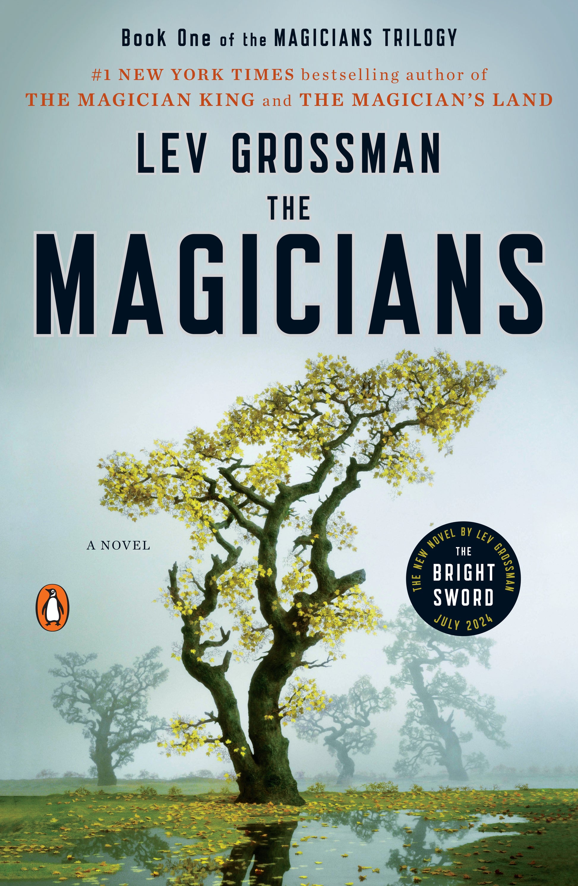 The Magicians (The Magicians #1) - Agricola Street Books