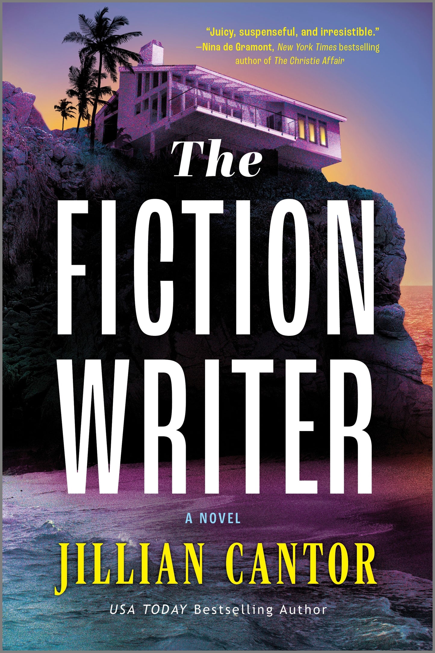 The Fiction Writer - Agricola Street Books