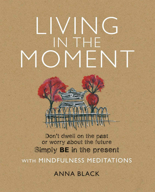 Living in the Moment - Agricola Street Books