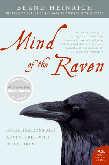 Mind of the Raven - Agricola Street Books
