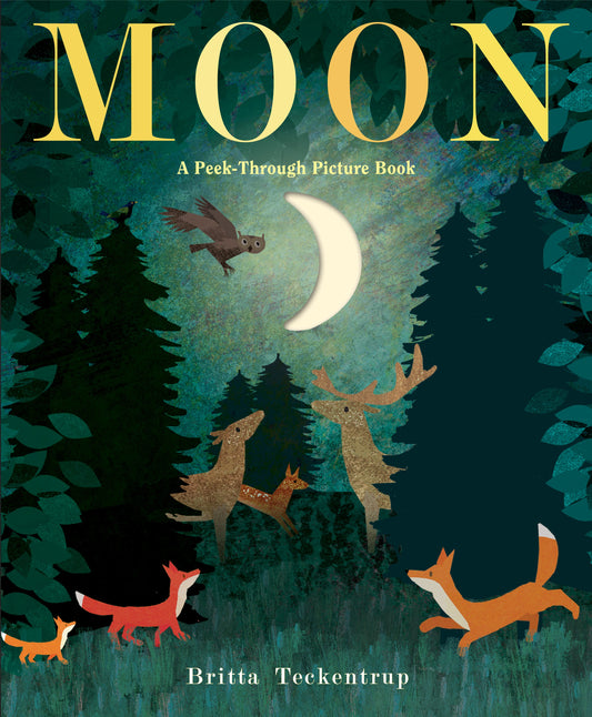 Moon: A Peek-Through Picture Book - Agricola Street Books