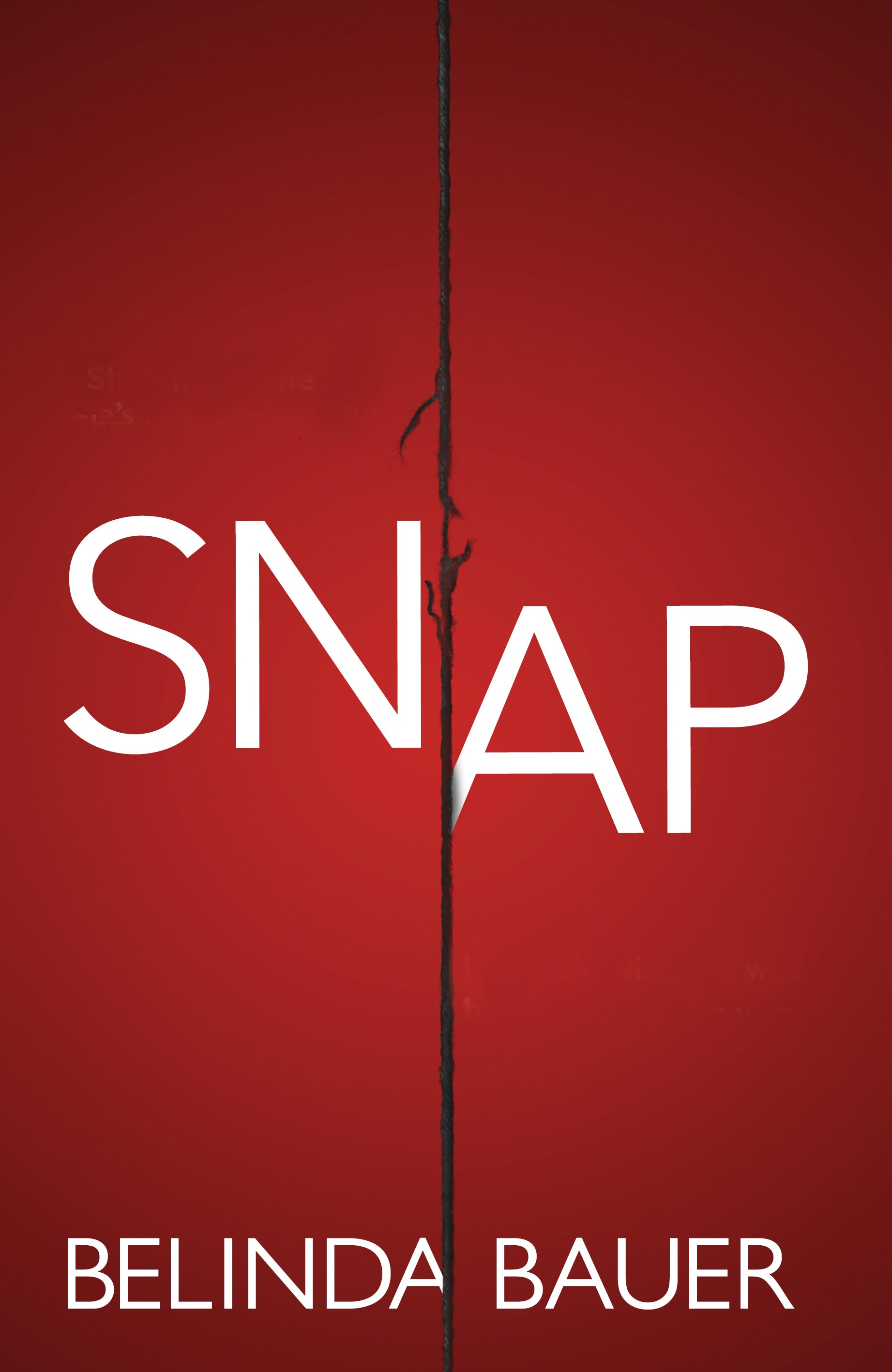 Snap - Agricola Street Books