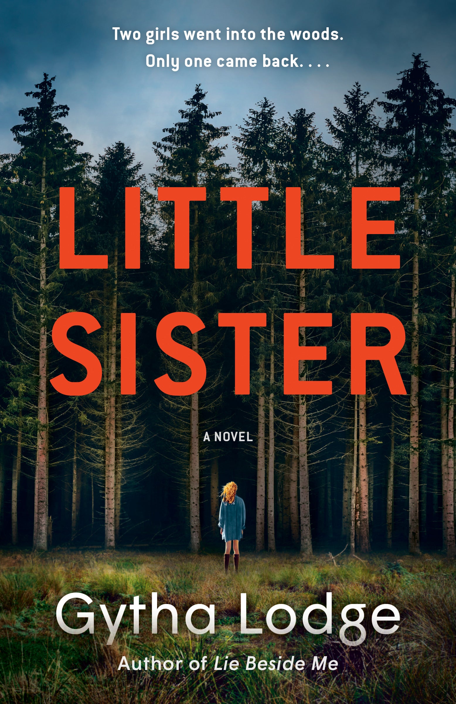Little Sister (DCI Jonah Sheens #4) - Agricola Street Books