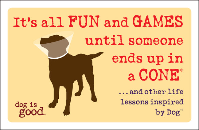 It's All Fun and Games Until Someone Ends Up in a Cone® - Agricola Street Books
