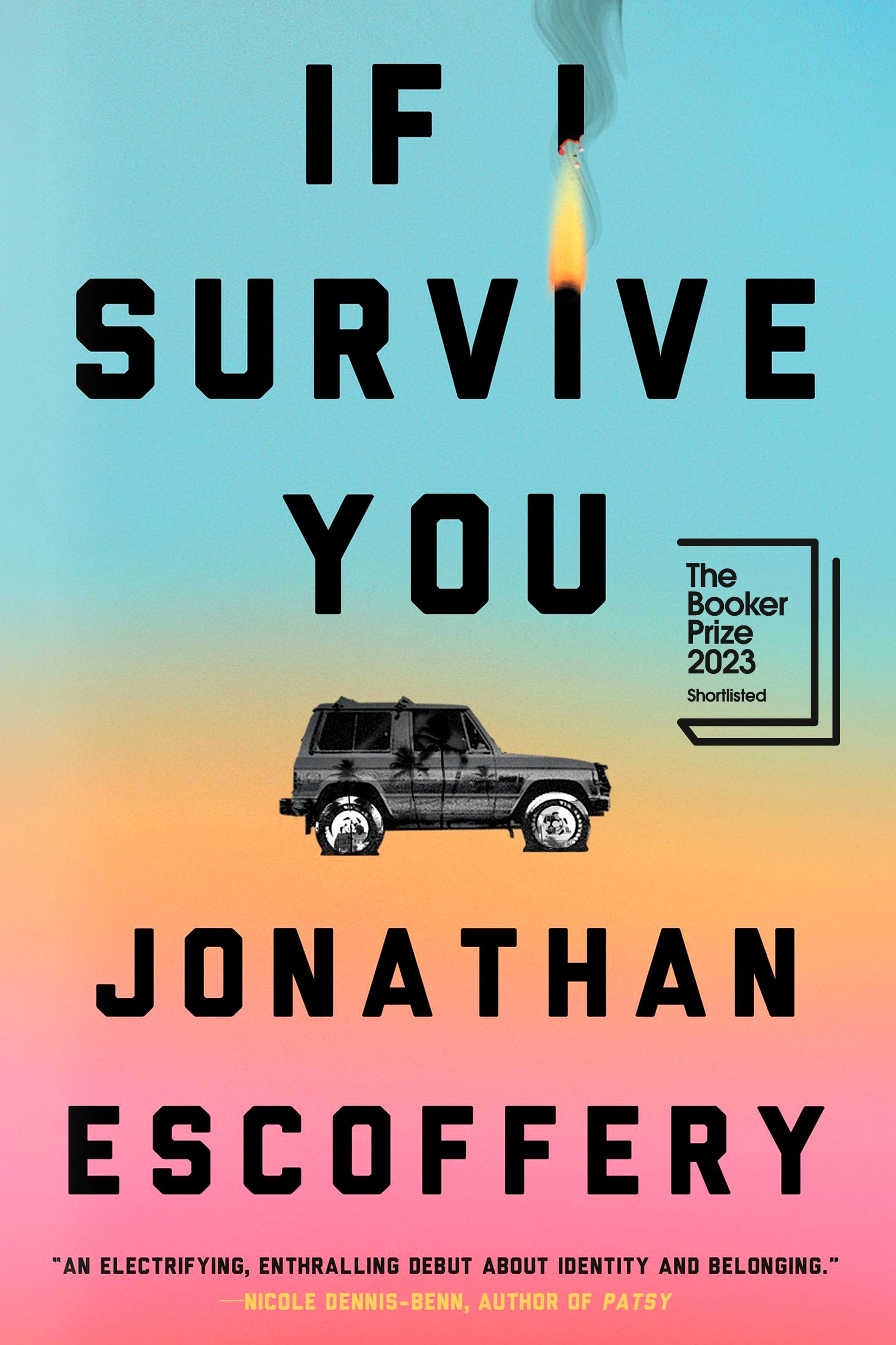 If I Survive You - Agricola Street Books