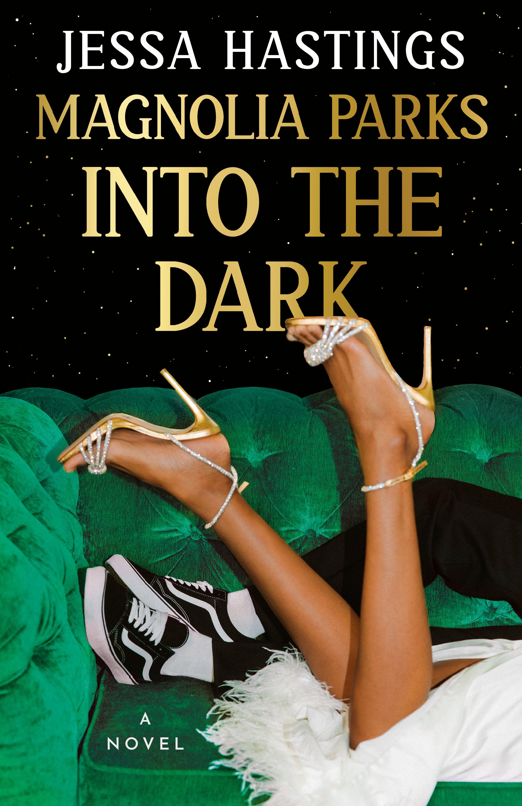 Magnolia Parks: Into the Dark - Agricola Street Books