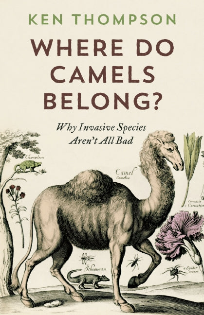 Where Do Camels Belong?