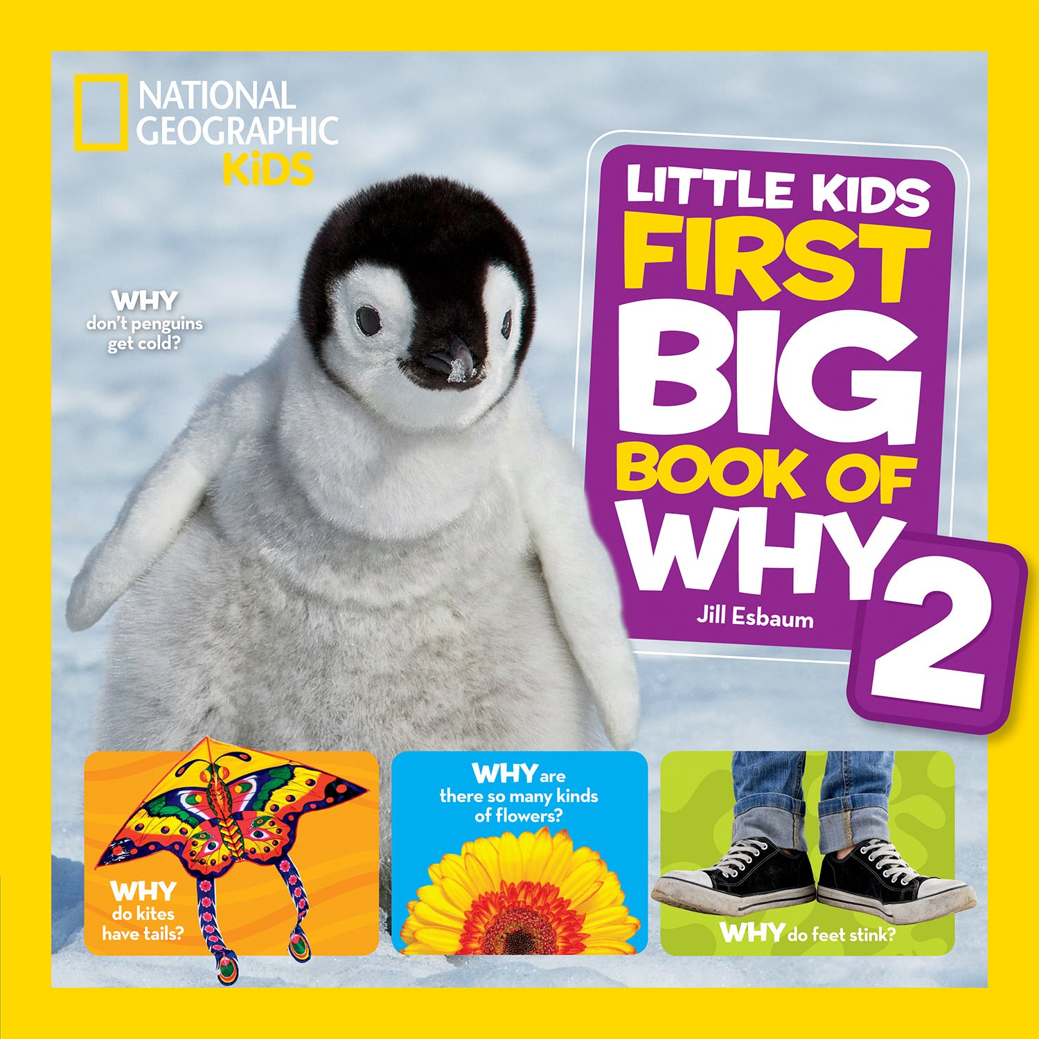 National Geographic Little Kids First Big Book of Why 2 - Agricola Street Books