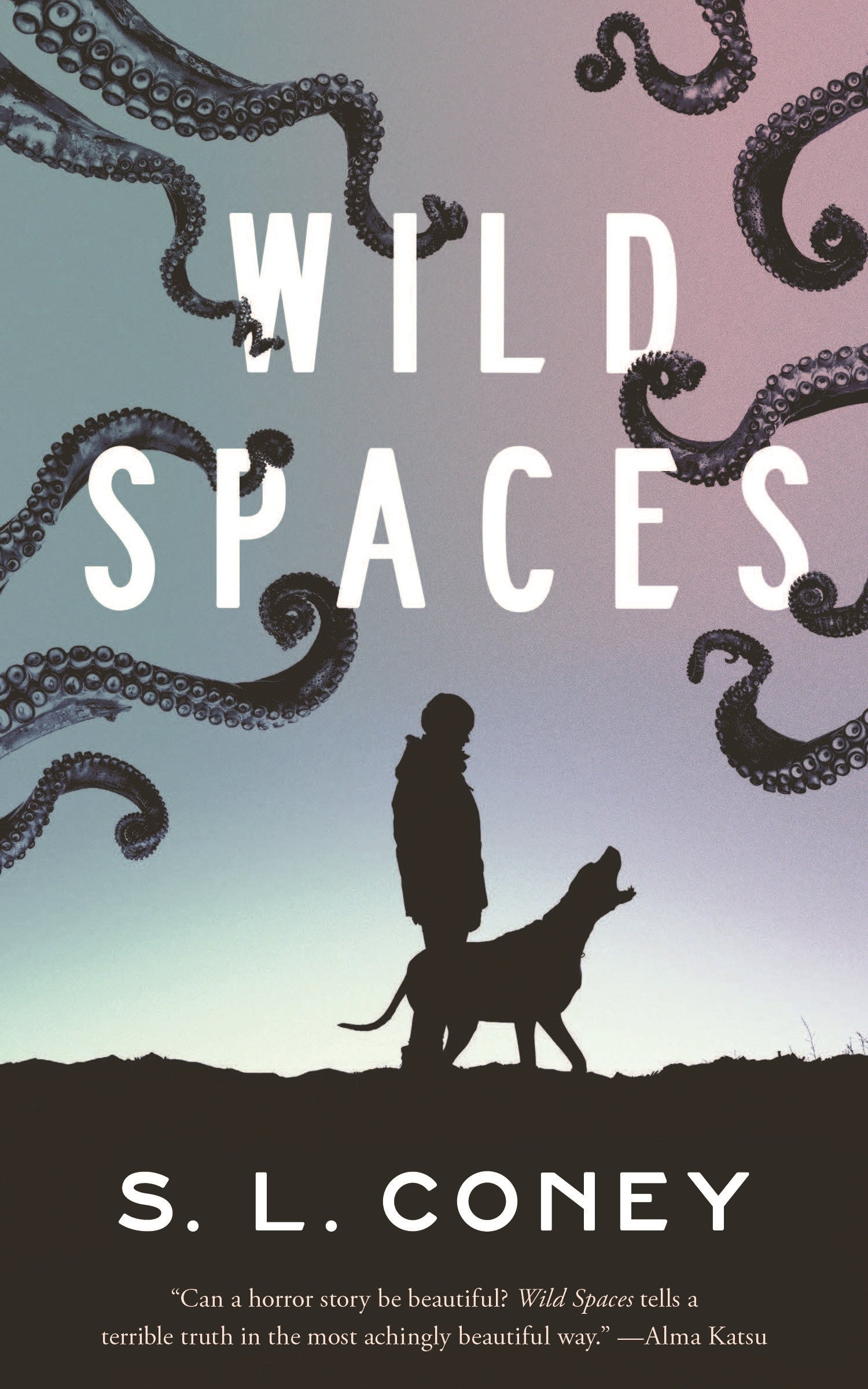 Wild Spaces - Agricola Street Books