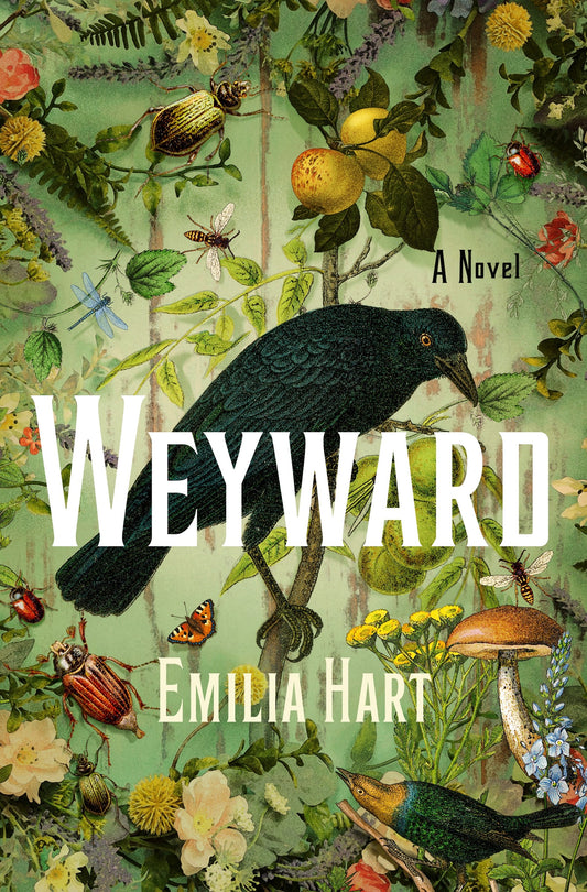 Weyward - Agricola Street Books