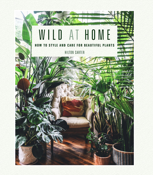 Wild at Home - Agricola Street Books