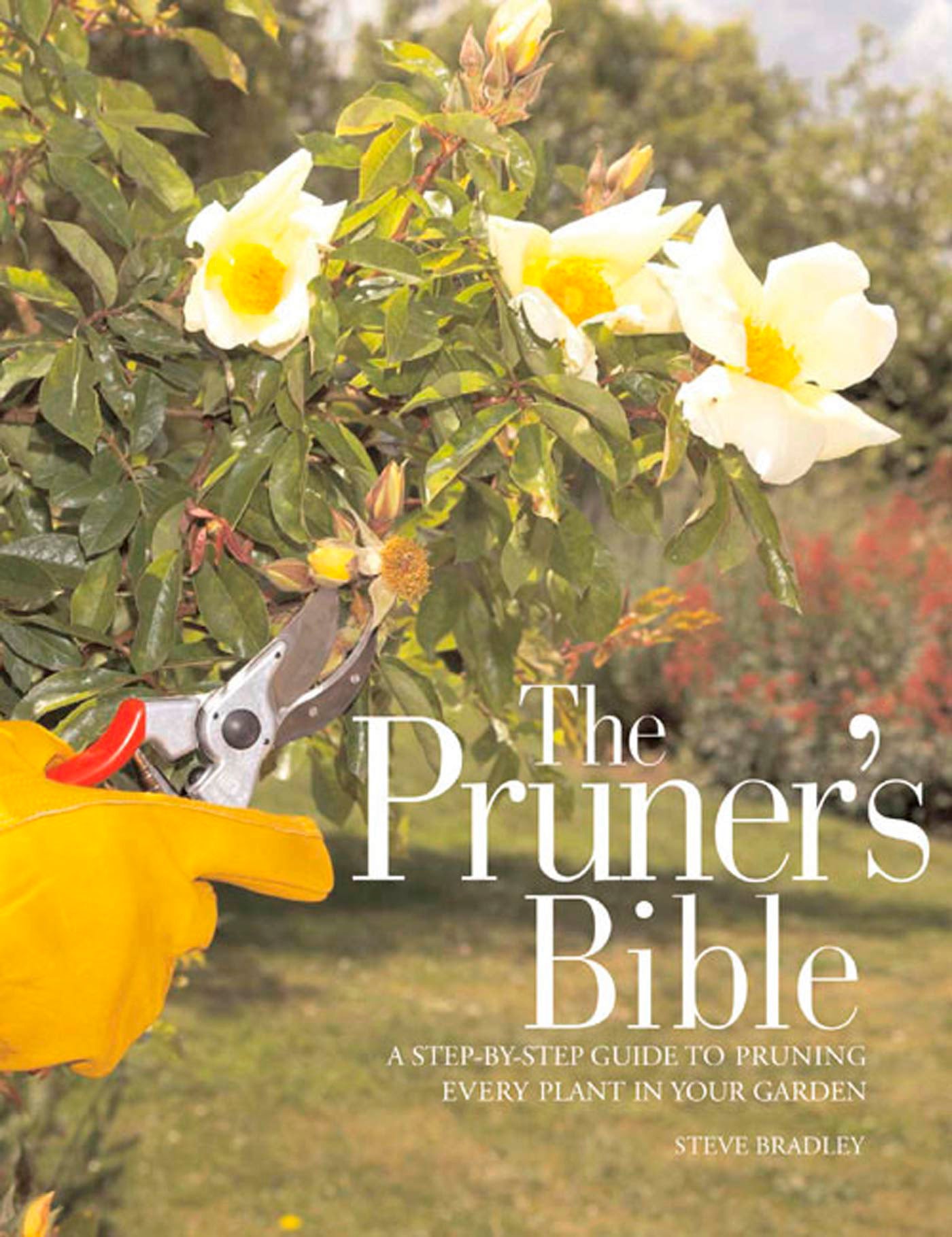 The Pruner's Bible