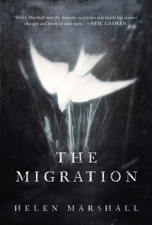 The Migration - Agricola Street Books