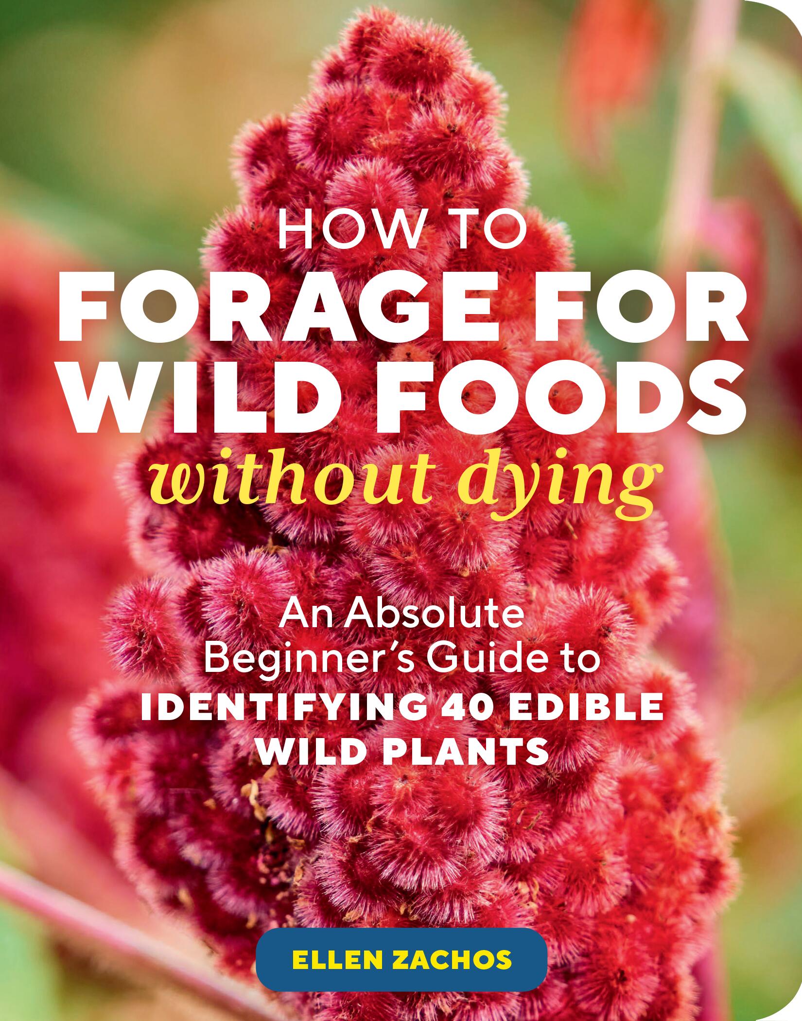 How to Forage for Wild Foods without Dying - Agricola Street Books