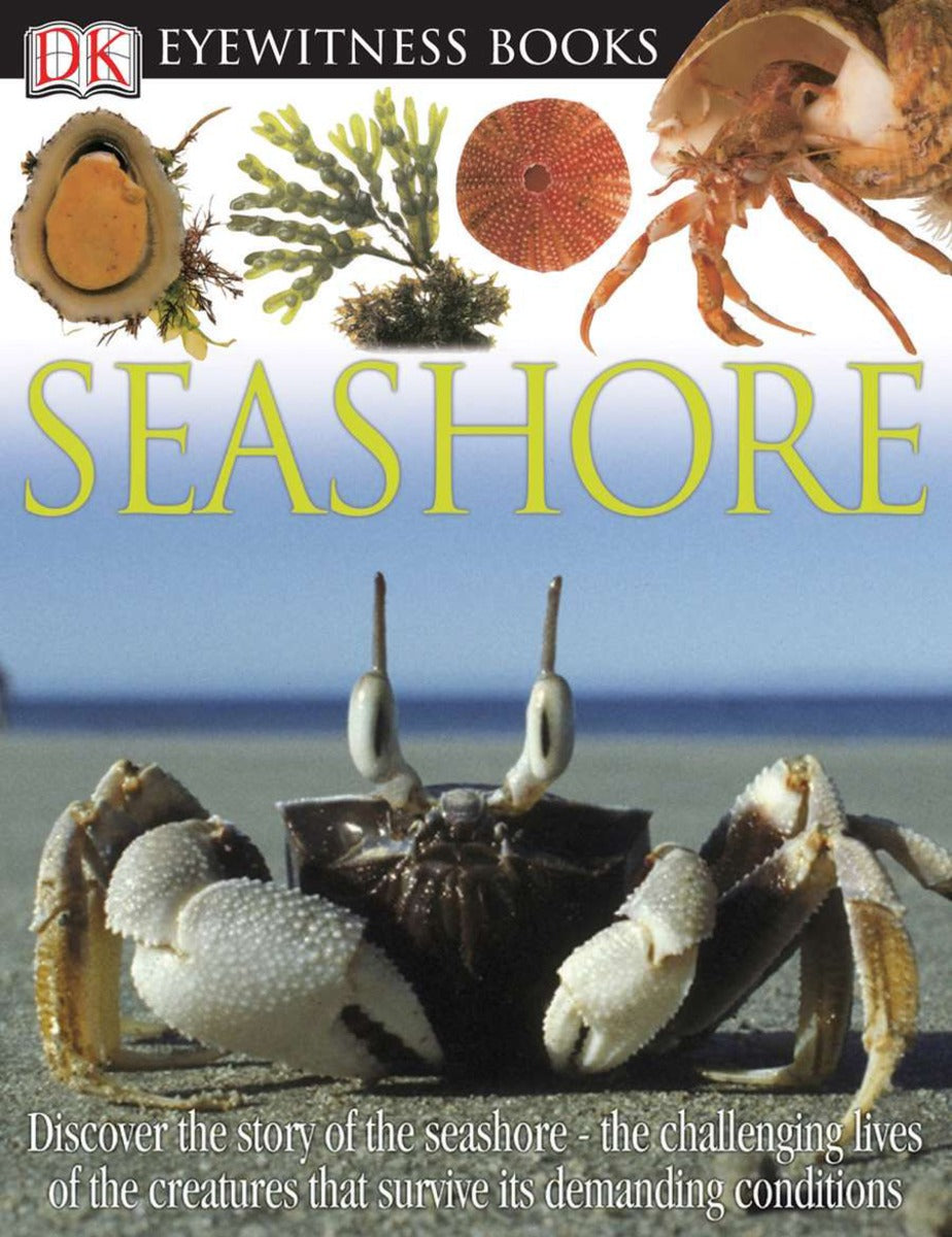 DK Eyewitness Books: Seashore - Agricola Street Books
