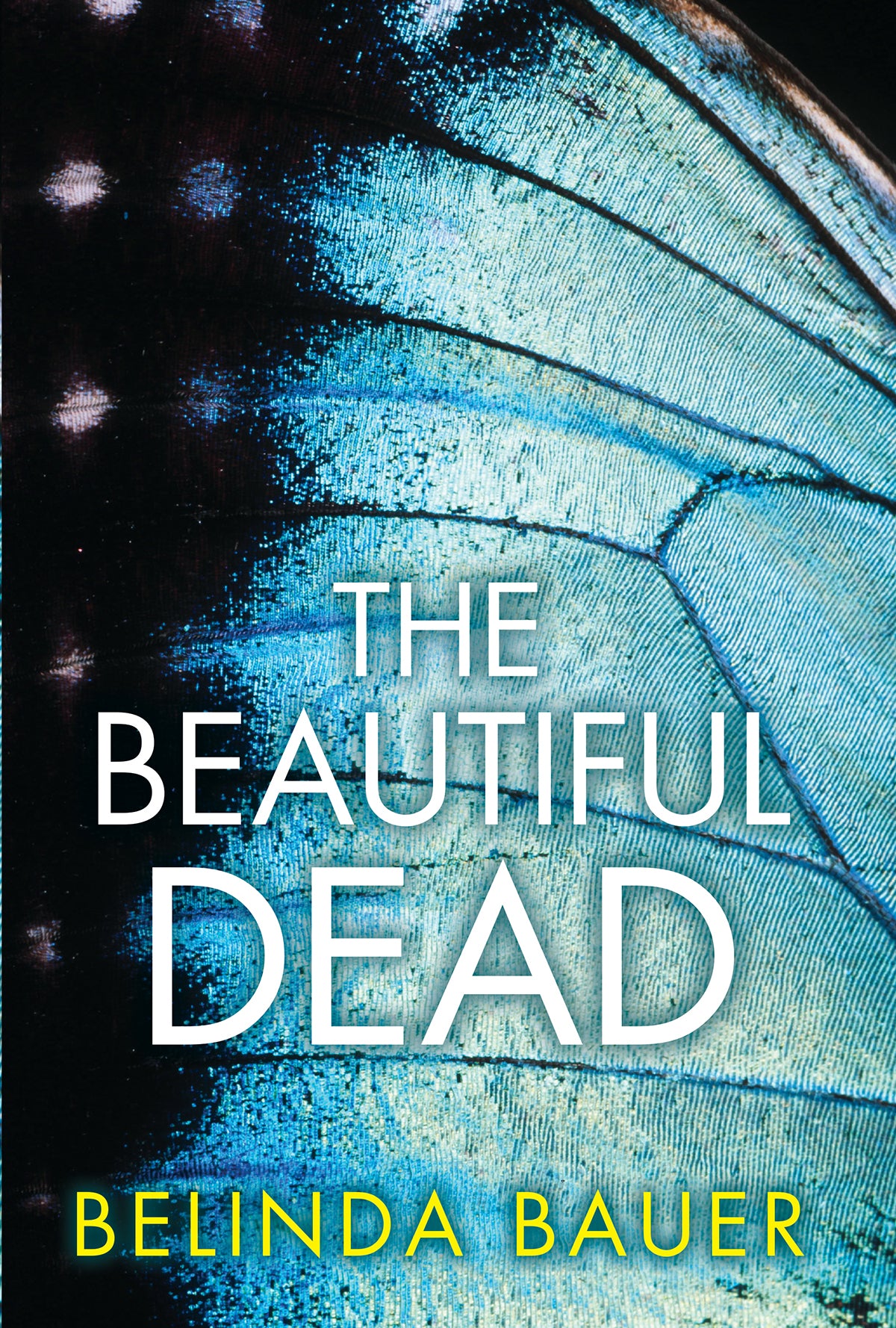 The Beautiful Dead - Agricola Street Books