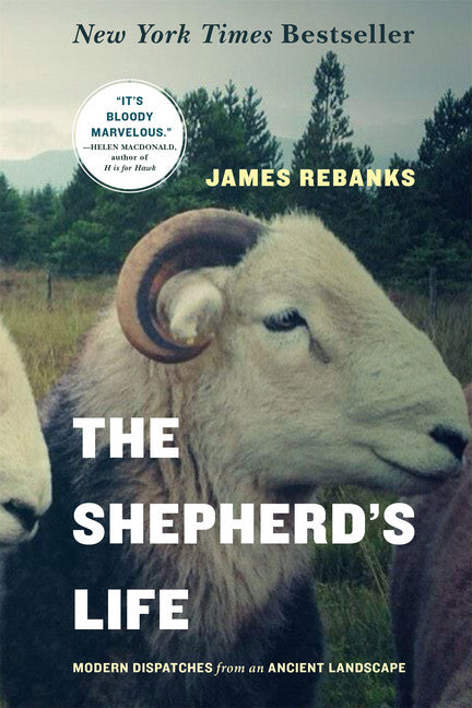 The Shepherd's Life - Agricola Street Books