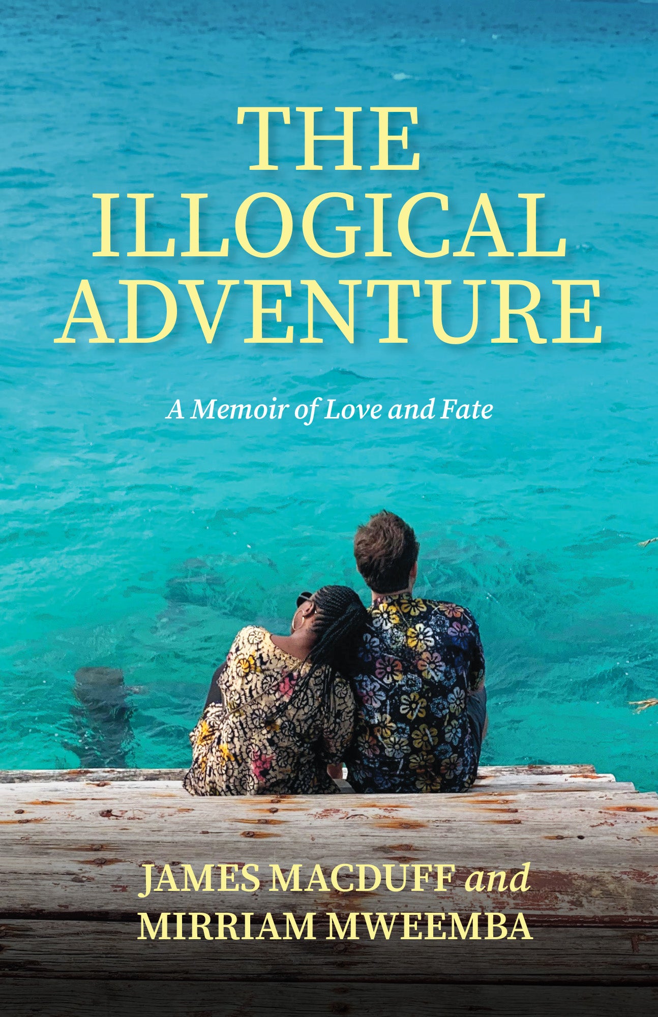 The Illogical Adventure - Agricola Street Books
