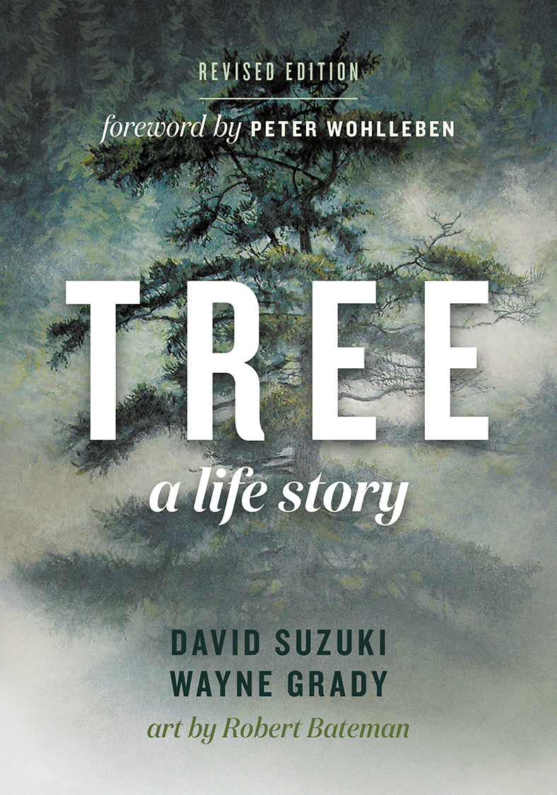 Tree - Agricola Street Books