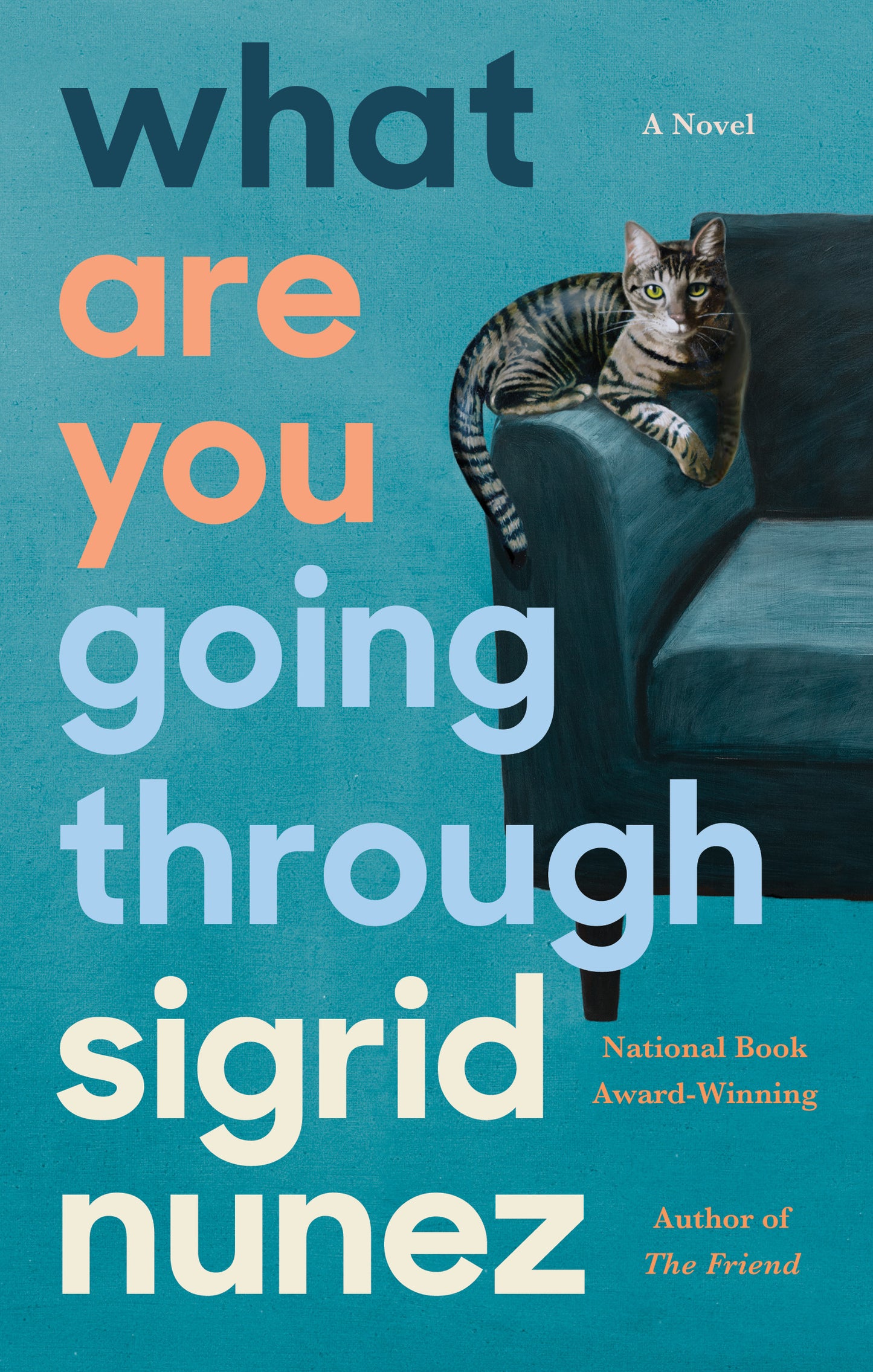 What Are You Going Through - Agricola Street Books