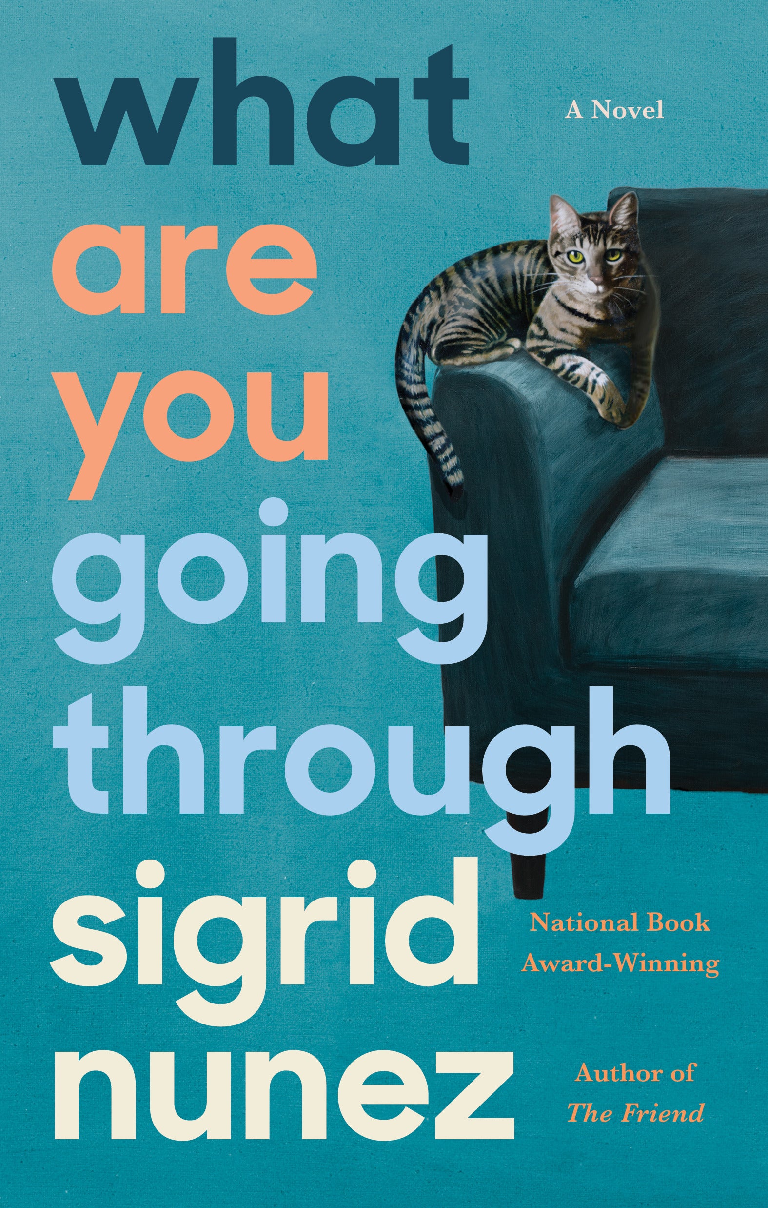 What Are You Going Through - Agricola Street Books